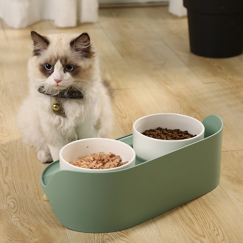 Elevated Dog and Cat Bowls - Raised Pet Dish - Ceramic Food and Water Bowls with No-Skid Silicone Mat, for Small Dogs Cats