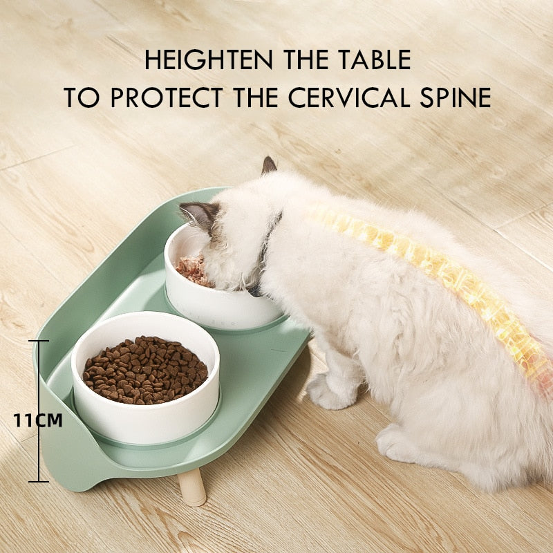 Elevated Dog and Cat Bowls - Raised Pet Dish - Ceramic Food and Water Bowls with No-Skid Silicone Mat, for Small Dogs Cats